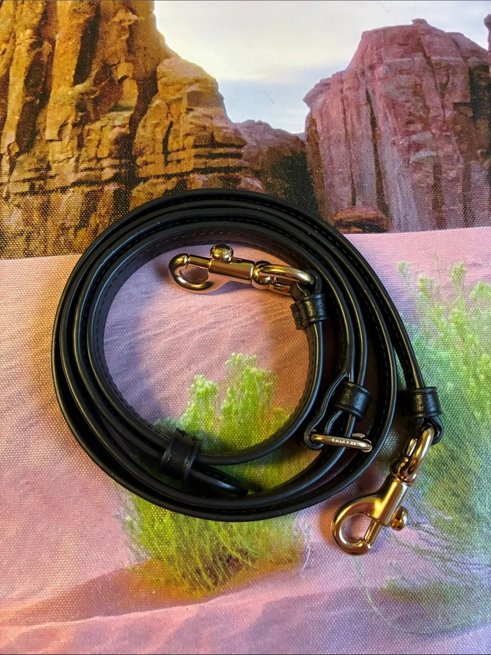 Coach Black Smooth Leather Strap with Gold Hardware.